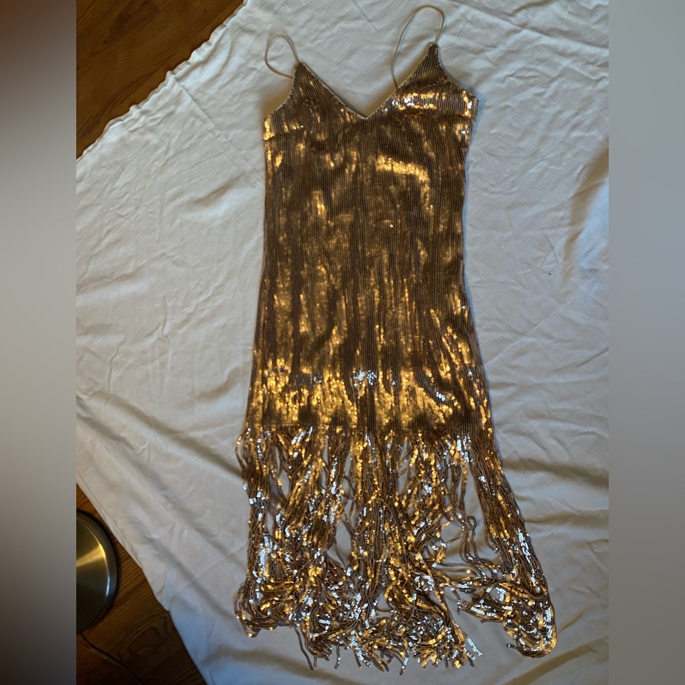 Forever 21 Gold Sequin Fringe Slip Dress